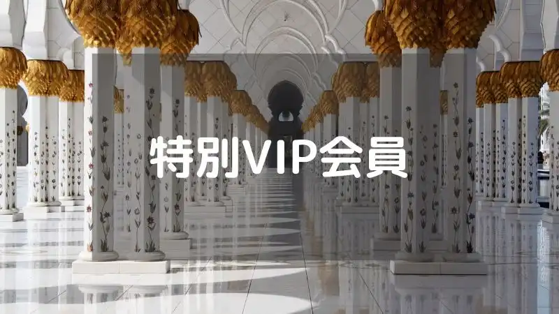 特別VIP会員のサービス内容